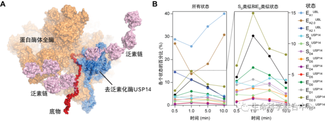 人工智能賦能時間分辨冷凍電鏡 北京大學Nature刊文揭示重大藥物靶點動力學調控機制